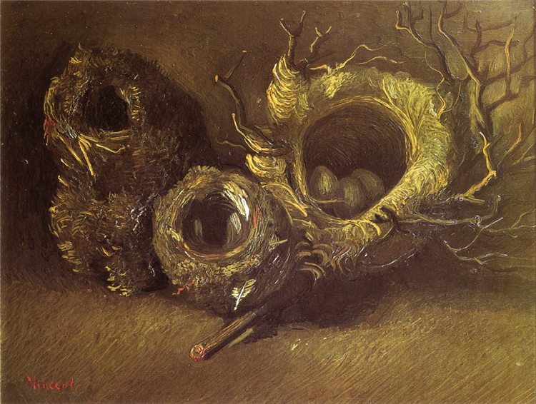 Still Life With Three Birds Nests